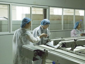 政企同心促发展，妇联关怀暖企心——热烈欢迎市镇妇联领导莅临华尔食品调研指导